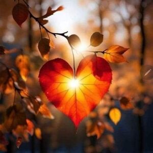 $5 STARTS! FALL SALE!! LIVE SHOW ON Friday, SEPTEMBER 13/ 8:30PM. SIZES XS-3X